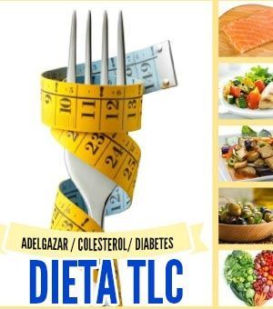 Dieta TLC